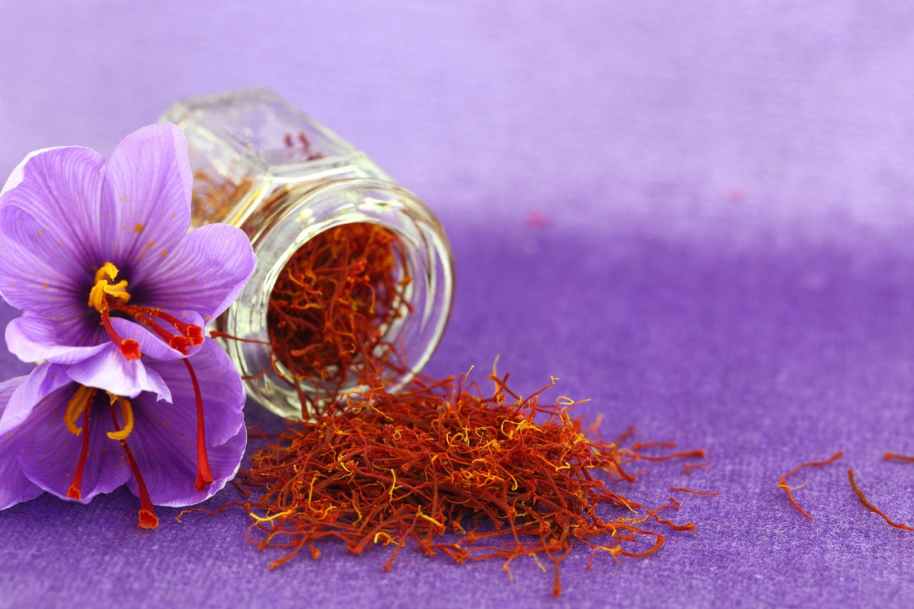 Where can I buy saffron bulbs and grow my own saffron spice?