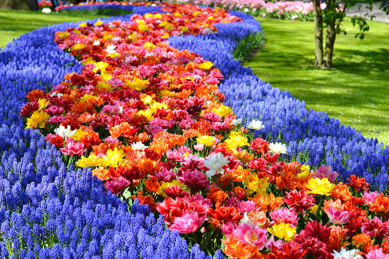 Keukenhof Gardens 2018: A Place for Inspiration