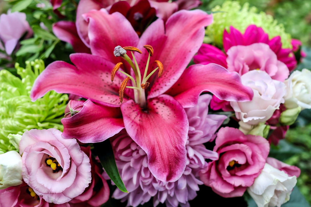 The Meaning of Different Lilies | DutchGrown