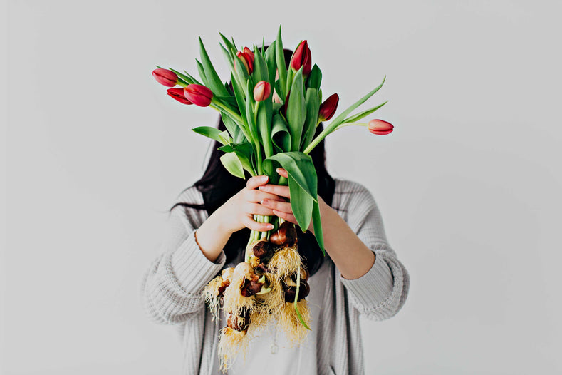 How to Cut Tulips?