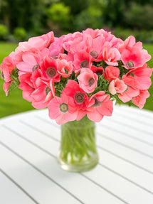Anemone Barbie