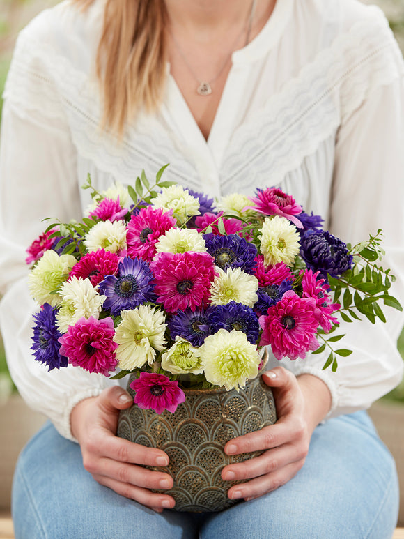 Anemone Crush On You Collection