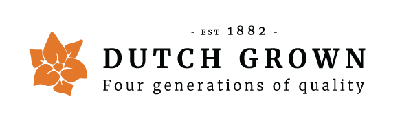 Top Quality Flower Bulbs at Wholesale Pricing | DutchGrown™