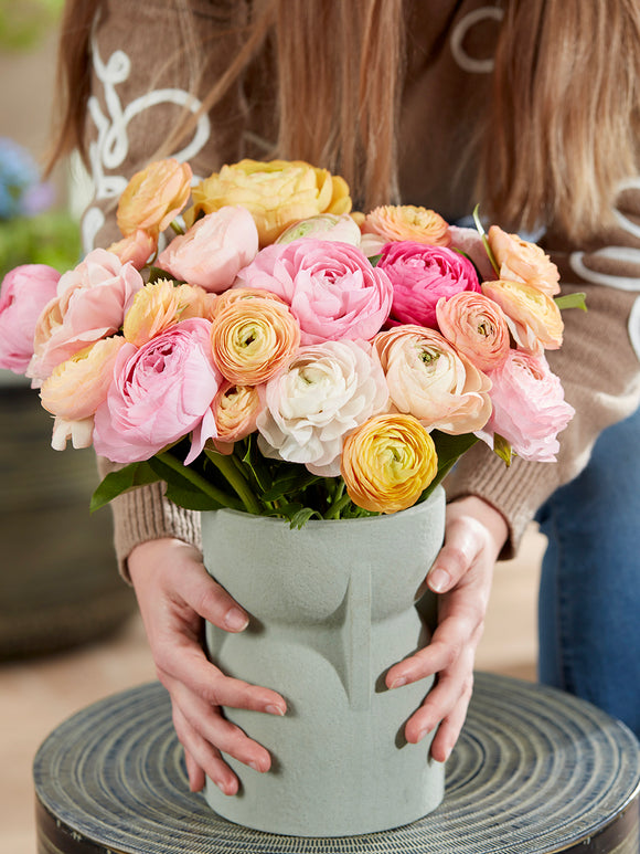Ranunculus Pauline Pastel