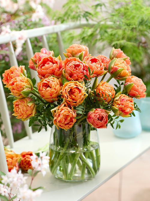 Tulip Orange Flavor®