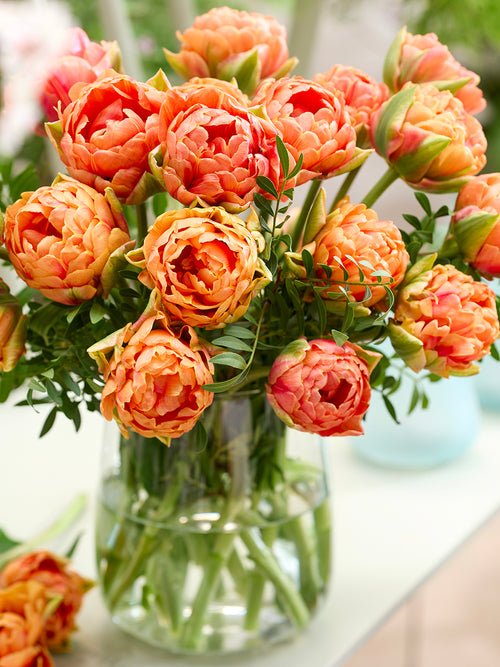 Tulip Orange Flavor®