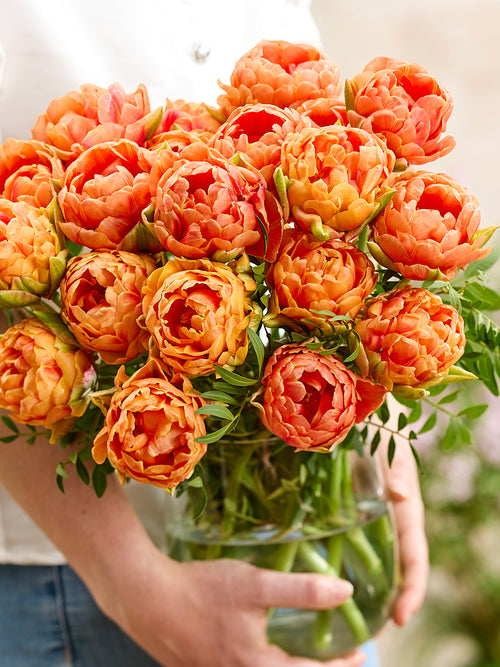 Tulip Orange Flavor®