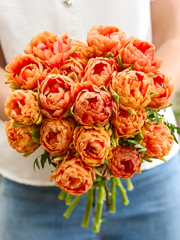 Tulip Orange Flavor®