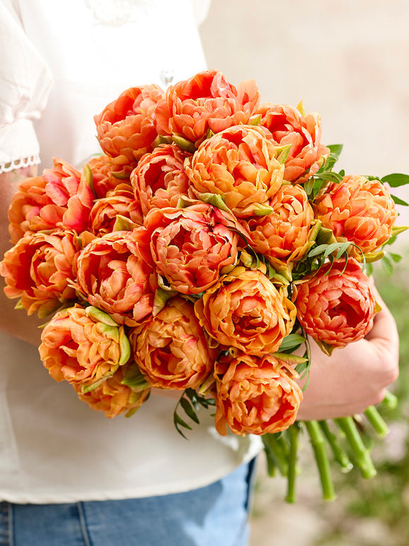 Tulip Orange Flavor®