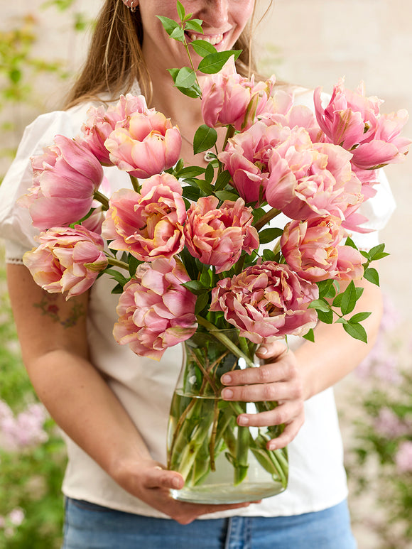 Tulip Picture Perfect