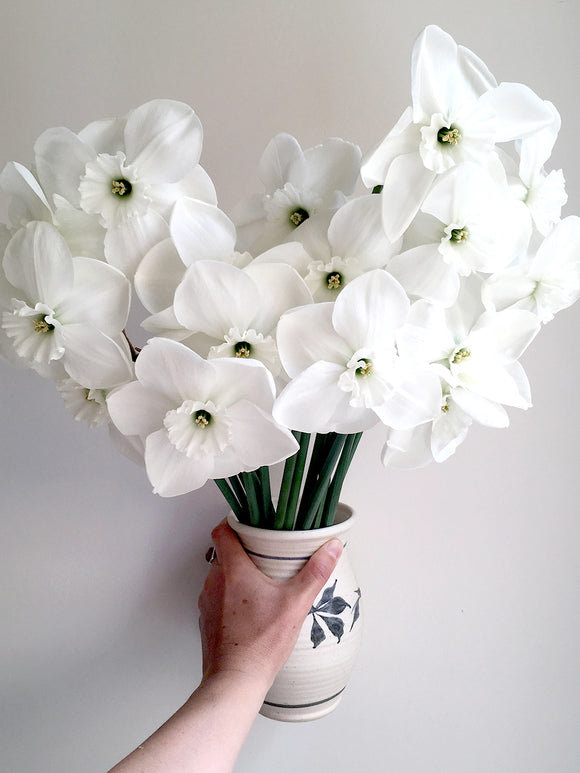 Daffodil Green Eyes as Cut Flower