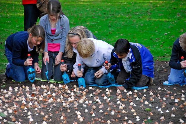 When is the best time to plant my flower bulbs?