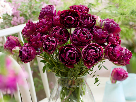 New for 2025 New for 2023