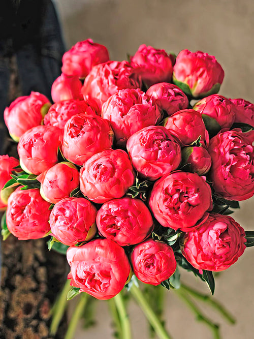 Peony Coral Sunset bouquet