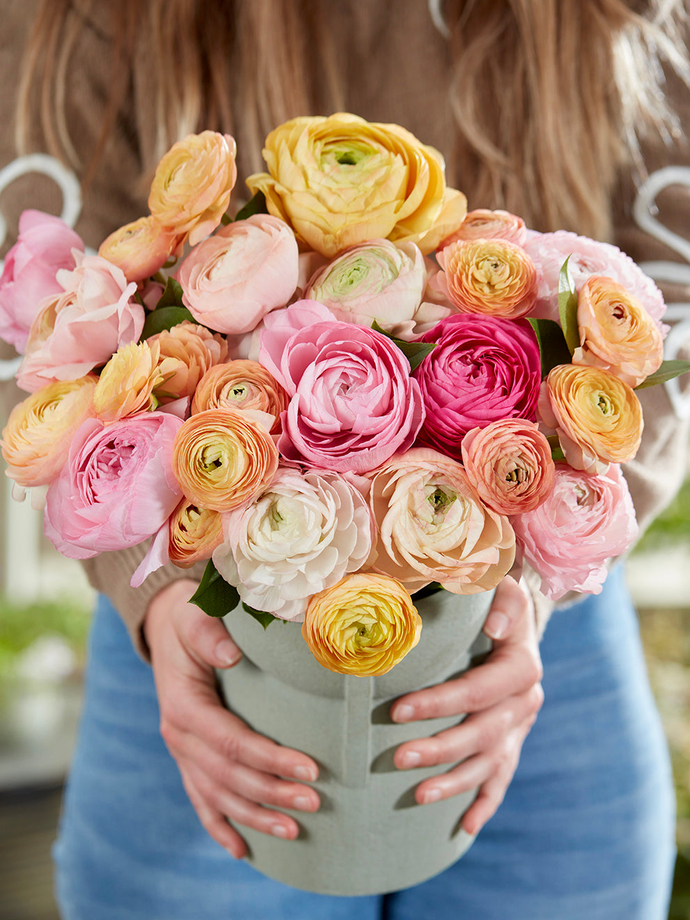 Pauline Ranunculus Ranunculus Pauline Pastel | DutchGrown™