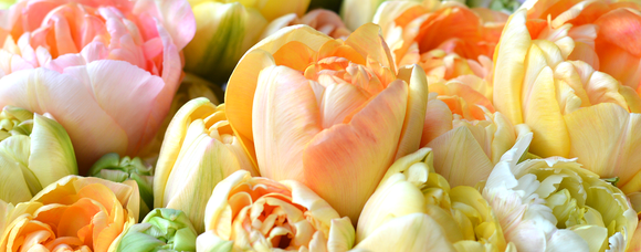 SHOP THE SALE - 40% OFF REMAINING STOCK