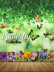 The Butterfly Collection