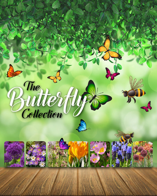 Flower bulbs for butterflies and bees