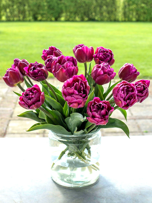 Tulip Blue Diamond - Cut Flower Vase