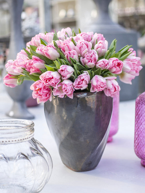 Cut Flower Tulip Foxtrot Pink in Vase