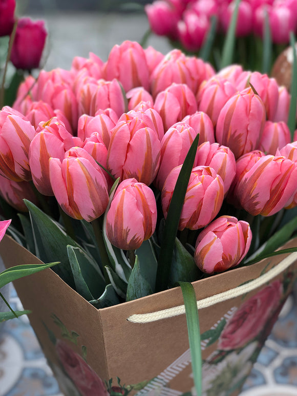 Bouquet of Tulip Pretty Princess Pink