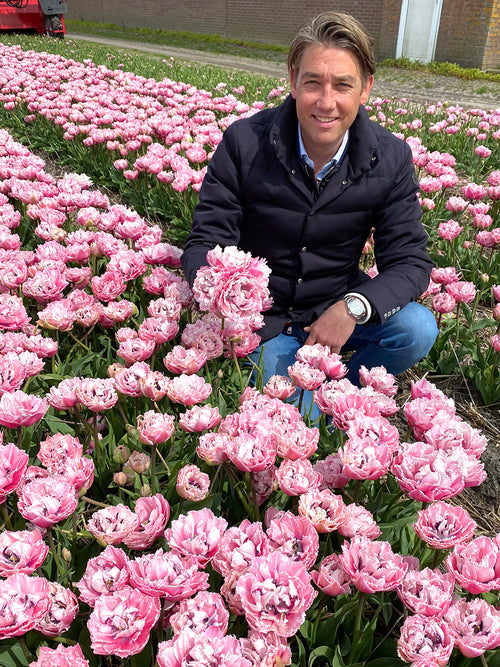 Ben in the tulip fields with tulip Sugar Crystal